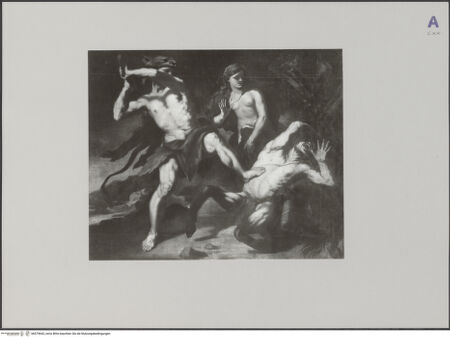 Vorderseite von Foto Marburg [https://www.deutsche-digitale-bibliothek.de/content/lizenzen/rv-ez/] Herkules und Nessus - , bh579643_recto. Foto.