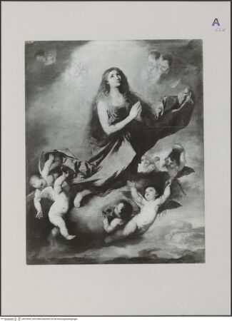 Vorderseite von bh579649_recto