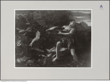 Vorderseite von Sopr. BAS NA [https://www.deutsche-digitale-bibliothek.de/content/lizenzen/rv-ez/] Fischstilleben mit Fischer - , bh579657_recto. Foto.