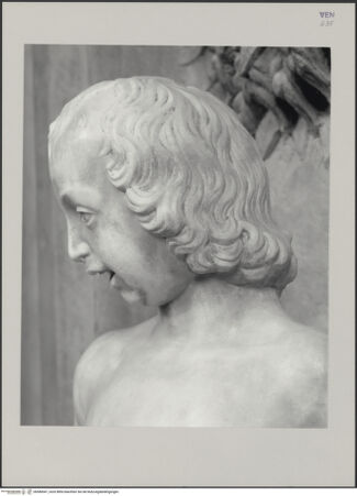 Vorderseite von Markham Schulz, Anne [https://www.deutsche-digitale-bibliothek.de/content/lizenzen/rv-ez/] Grabmal des Rechtsgelehrten Antonio Roselli (gest. 1466)Linker Wappenträger - Detail: Kopf (Profil von rechts), bh580047_recto. Foto: Schulz, Anne Markham.