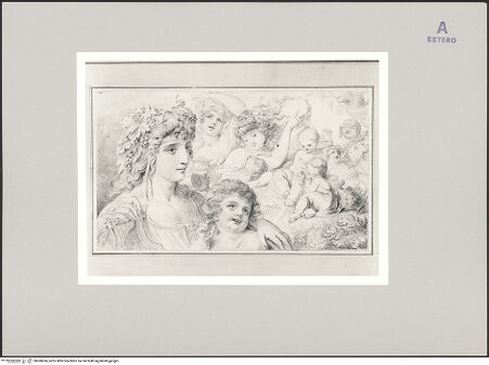 Vorderseite von bh580366_recto