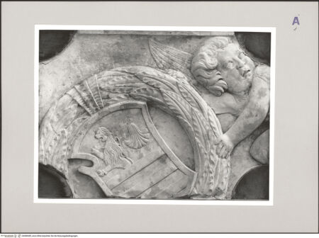 Vorderseite von Liverani, Giorgio [https://www.deutsche-digitale-bibliothek.de/content/lizenzen/rv-ez/] Wappenhaltender Putto (Grabmalfragment der Caterina Rangoni) - Detail, bh580485_recto. Foto.