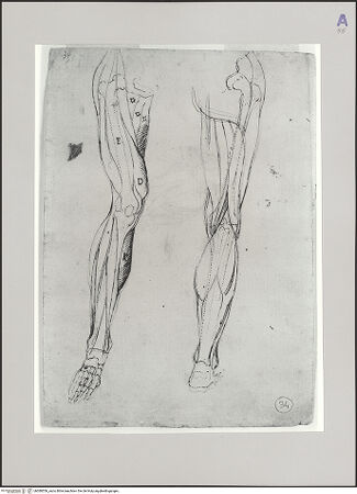 Vorderseite von bh580556_recto