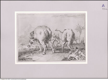 Vorderseite von bh580911_recto