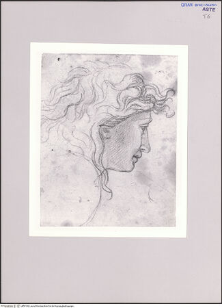 Vorderseite von bh581062_recto