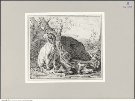 Vorderseite von bh581337_recto