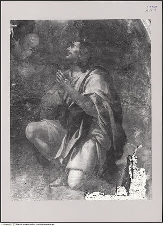 Vorderseite von Pedicini, Luciano [https://www.deutsche-digitale-bibliothek.de/content/lizenzen/rv-ez/] Maria und der heilige Rochus legen bei der Heiligen Dreifaltigkeit Fürbitte für die Pestkranken ein - Detail: Rochus, bh581405_recto. Foto: Pedicini, Luciano.