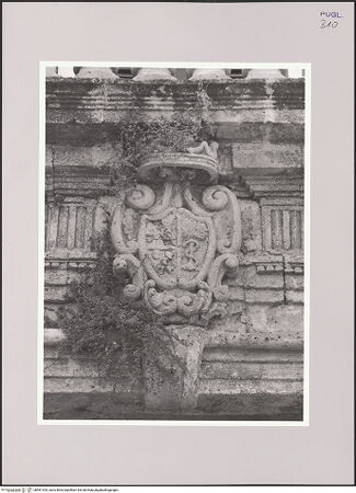 Vorderseite von bh581434_recto