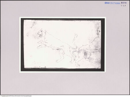 Vorderseite von bh581530_recto