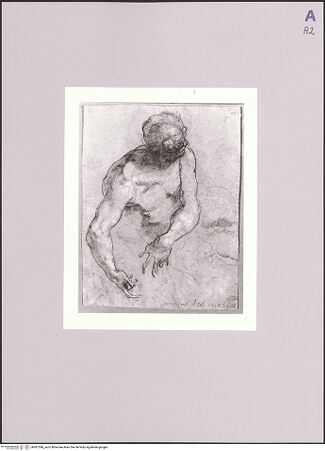 Vorderseite von Sotheby's [https://www.deutsche-digitale-bibliothek.de/content/lizenzen/rv-ez/] Sitzender männlicher Akt - , bh581598_recto. Foto.