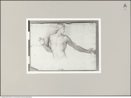 Vorderseite von bh581622_recto