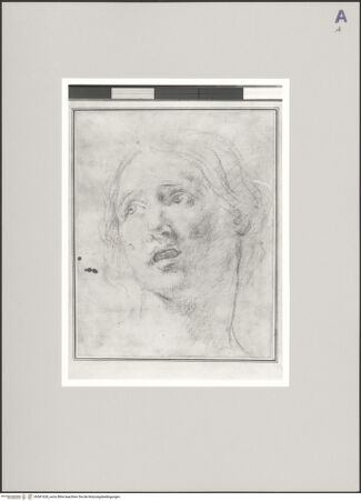 Vorderseite von bh581628_recto