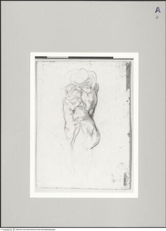 Vorderseite von Sotheby's [https://www.deutsche-digitale-bibliothek.de/content/lizenzen/rv-ez/] Torso im Profil - , bh581663_recto. Foto.