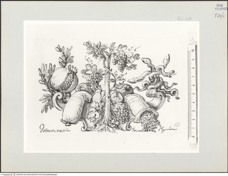 Vorderseite von bh582349_recto