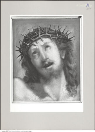 Vorderseite von bh583723_recto