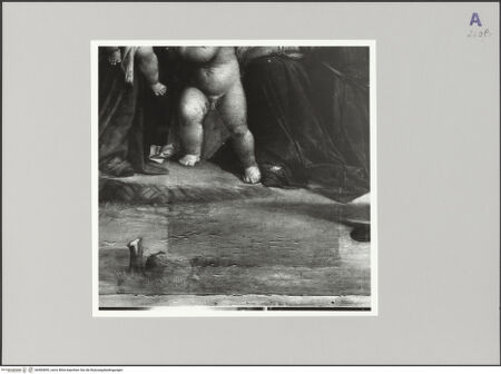 Vorderseite von bh583895_recto