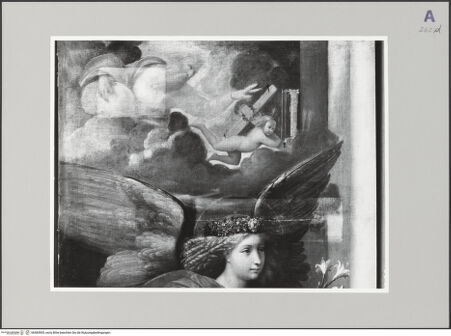 Vorderseite von bh583905_recto