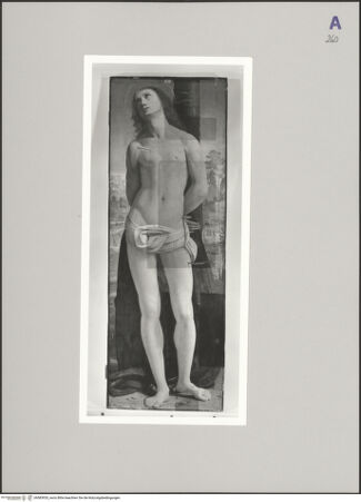 Vorderseite von bh583920_recto