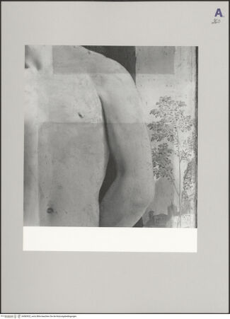 Vorderseite von bh583922_recto