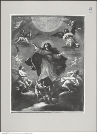 Vorderseite von bh584127_recto