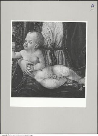 Vorderseite von bh584170_recto