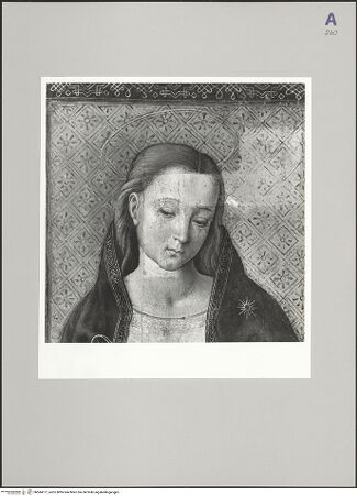 Vorderseite von bh584171_recto