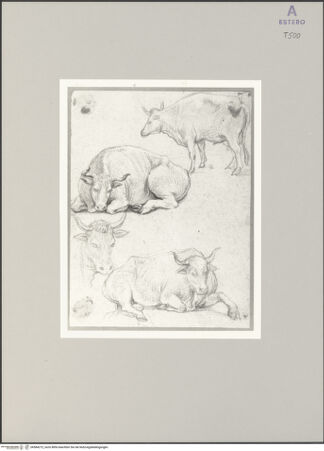 Vorderseite von bh584272_recto