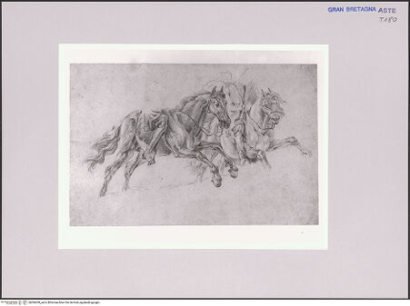 Vorderseite von bh584290_recto