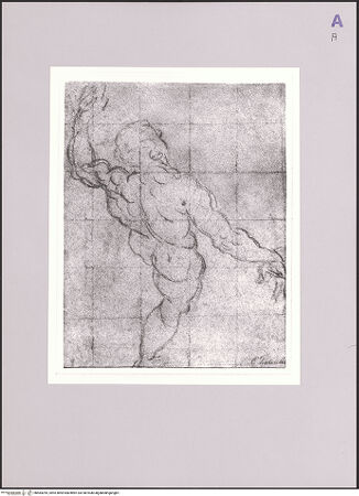 Vorderseite von bh584295_recto