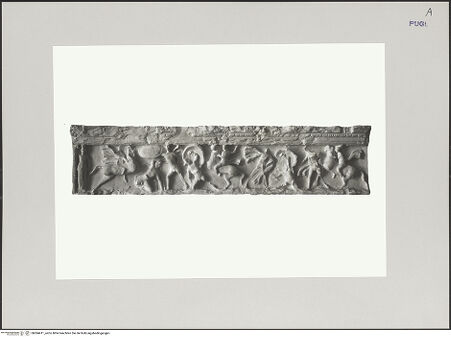 Vorderseite von bh584411_recto