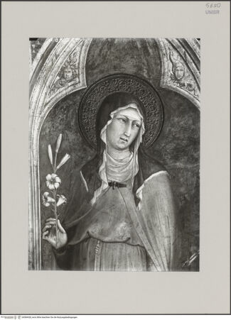 Vorderseite von bh584428_recto