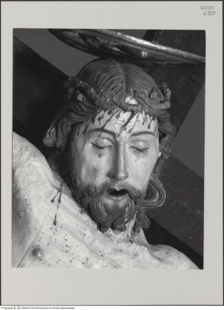 Vorderseite von bh584440_recto