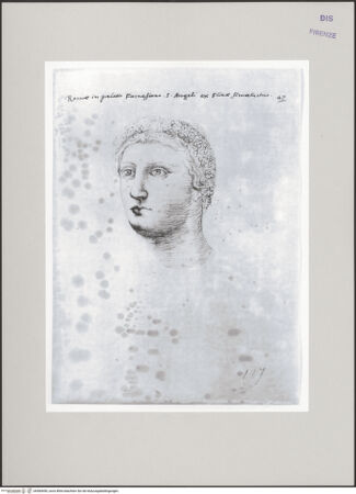 Vorderseite von bh584490_recto