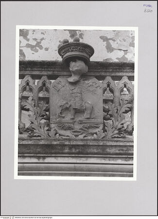 Vorderseite von bh584504_recto