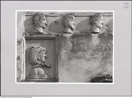 Vorderseite von bh584520_recto