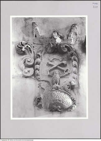 Vorderseite von bh584522_recto