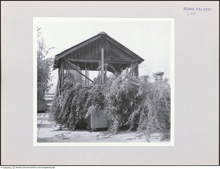 Vorderseite von bh584650_recto