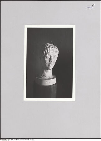 Vorderseite von bh585286_recto