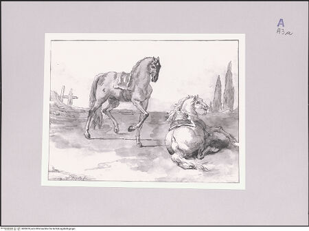 Vorderseite von bh585610_recto