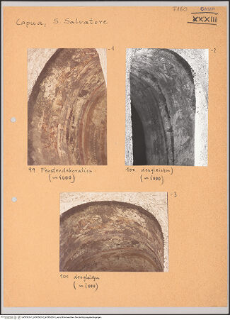 Vorderseite von bh585626-1_bh585626-2_bh585626-3_recto