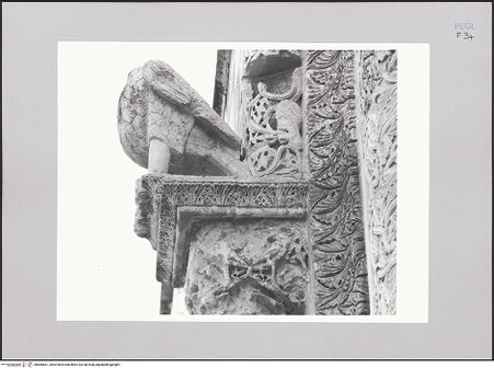 Vorderseite von Bibliotheca Hertziana [http://creativecommons.org/licenses/by-nc-sa/4.0/] HauptportalAdler, auf den Kapitellen sitzend - Linker Adler von rechts, bh585681_recto. Foto: Sigismondi, Roberto.