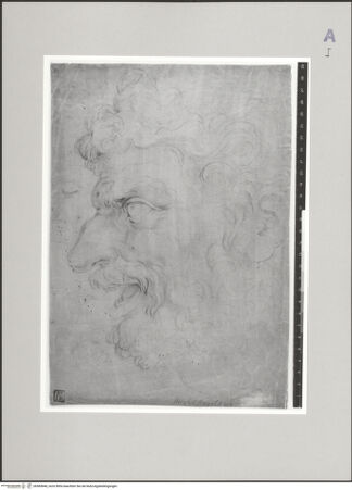 Vorderseite von Statens Museum for Kunst, Kopenhagen [https://www.deutsche-digitale-bibliothek.de/content/lizenzen/rv-fz/] Kopf eines bärtigen Mannes im Profil (Satyr?) - , bh585848_recto. Foto.