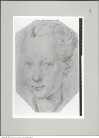 Vorderseite von Statens Museum for Kunst, Kopenhagen [https://rightsstatements.org/page/CNE/1.0/] Porträt der Virginia de' Medici - , bh585855_recto. Foto.