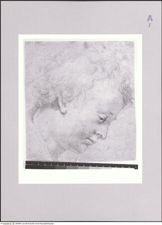 Vorderseite von bh585857_recto