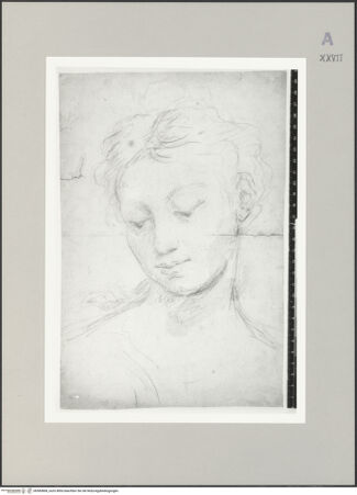 Vorderseite von bh585868_recto