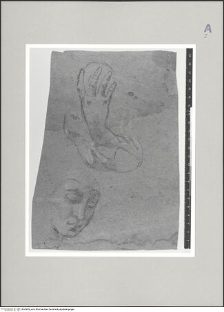 Vorderseite von Statens Museum for Kunst, Kopenhagen [https://www.deutsche-digitale-bibliothek.de/content/lizenzen/rv-ez/] Kopf einer Nonne und Studie für einen rechten Arm, der eine Kugel hält - , bh585869_recto. Foto.