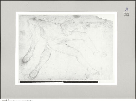 Vorderseite von bh585875_recto