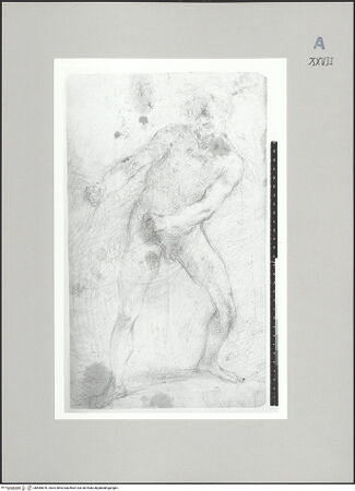 Vorderseite von bh585876_recto