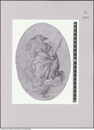 Vorderseite von bh585882_recto