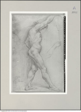 Vorderseite von bh585912_recto